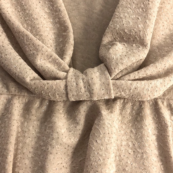 Gorgeous Champagne Sparkle Dress - Picture 5 of 5